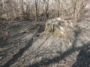 Skalnaty ostroh nedaleko staromestskeho popraviste byl doslova a do pismene amfiteatrem pro zvedavce._. (7)_.JPG