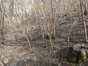 Skalnaty ostroh nedaleko staromestskeho popraviste byl doslova a do pismene amfiteatrem pro zvedavce._. (8)_.JPG