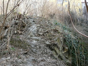 Skalnaty ostroh nedaleko staromestskeho popraviste byl doslova a do pismene amfiteatrem pro zvedavce._. (11)_.JPG